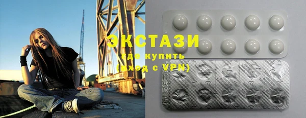 крисы Богородицк