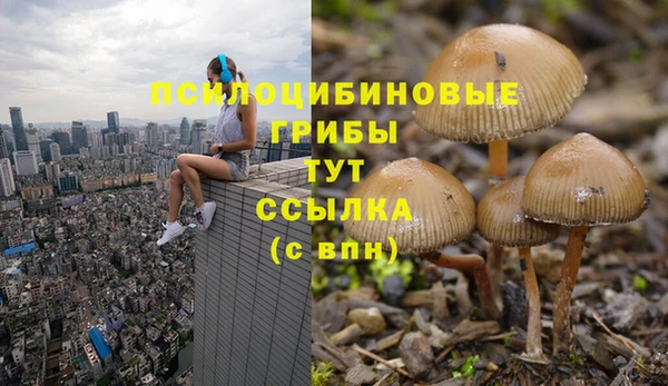 jwh Богданович
