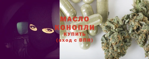 крисы Богородицк