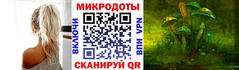 Купить где  Палласовка  Псилоцибиновые грибы GOLDEN TEACHER 